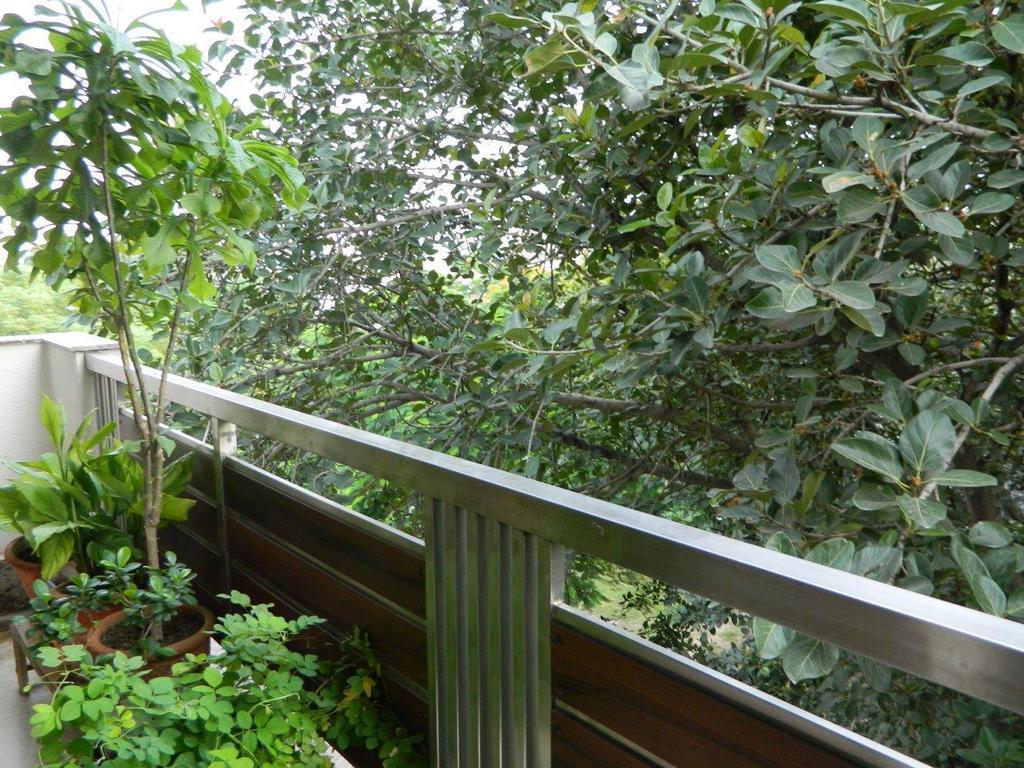 Deerpark Villa New Delhi Bagian luar foto