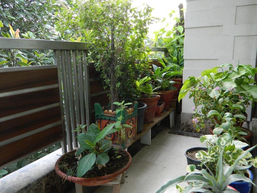 Deerpark Villa New Delhi Bagian luar foto